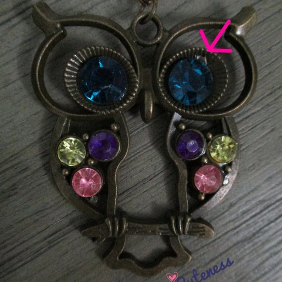 🎀 Owl Necklace (NWOT READ) - Picture 2 of 4